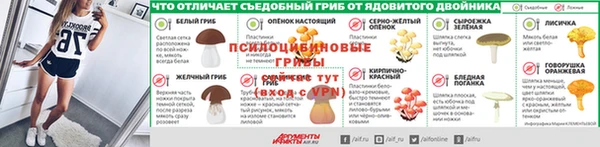 стаф Тавда