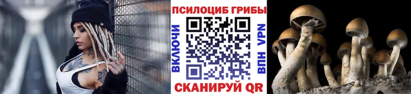 где можно купить   Славянск-на-Кубани  Псилоцибиновые грибы Magic Shrooms 