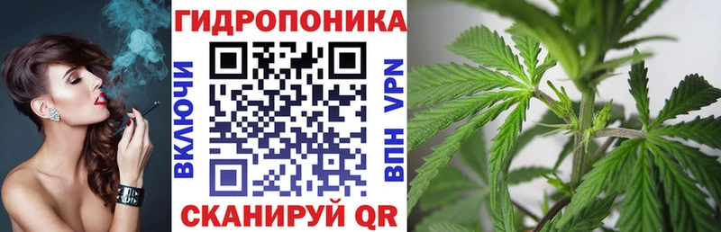 Марихуана сатива  hydra ONION  Славянск-на-Кубани  где продают  